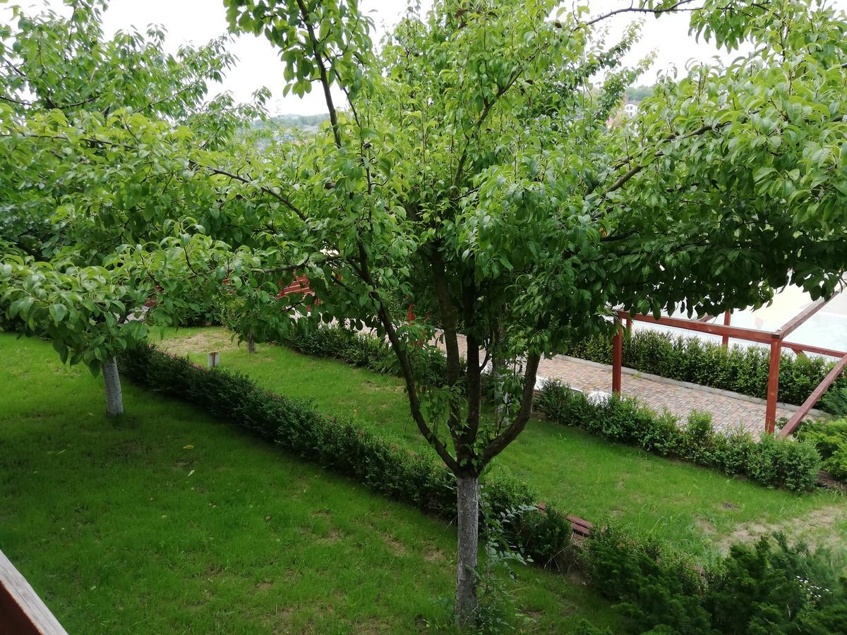 Grace Villa Codru Exterior photo